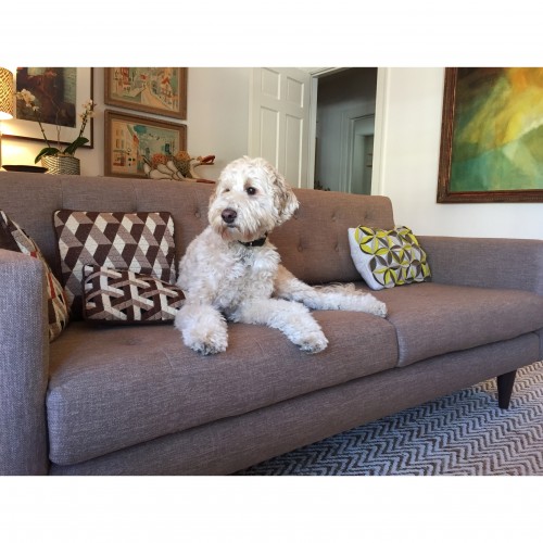 Eliot Collection Joybird