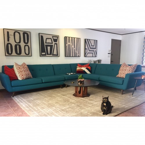 Customer Pet Photos Joybird