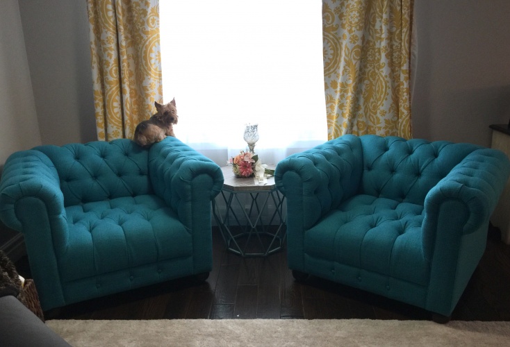 Theo Chair - Photo by Jessica Davis