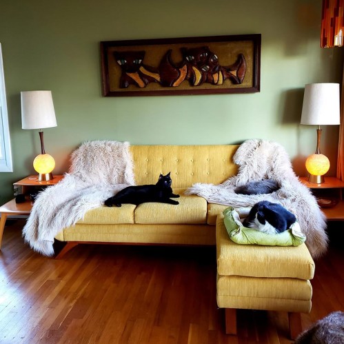 Pet Friendly Fabrics Joybird The Look Aubrey Ottoman Photo By Tracy Seiler