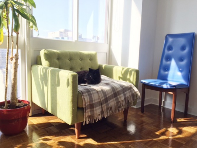 Eliot Collection Joybird