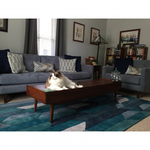 Eliot Collection Joybird