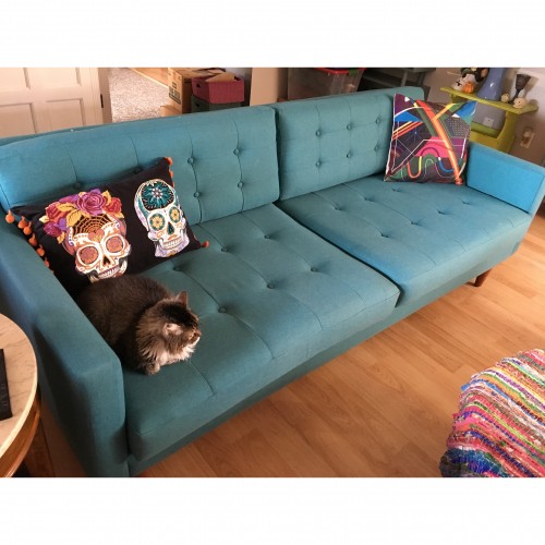 Eliot Sofa Joybird