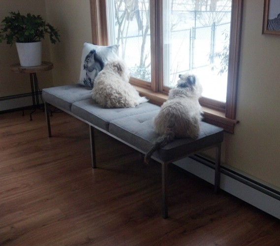 Franklin Bench - Photo by Shari H.