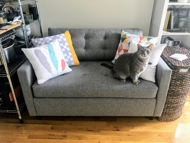 Eliot Collection Joybird