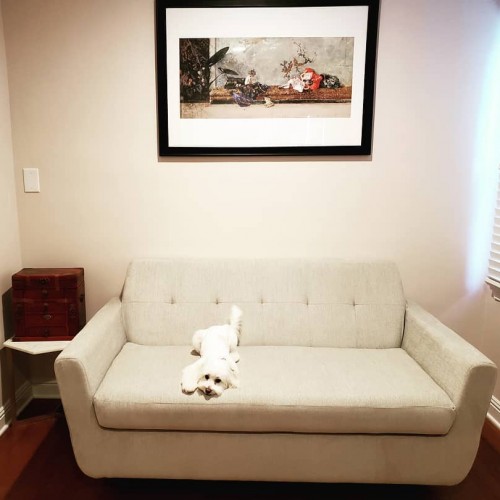 Pet Friendly Furniture Fabrics Joybird The Look Hughes Twin Sleeper Photo By Sandy Briggs