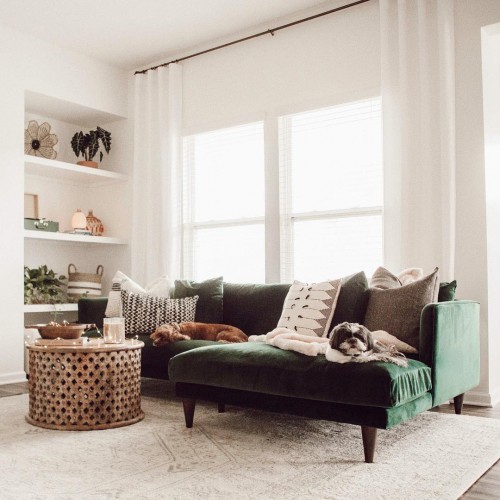 Pet Friendly Furniture Fabrics Joybird The Look Lewis Sectional Photo By Jacob Koneman